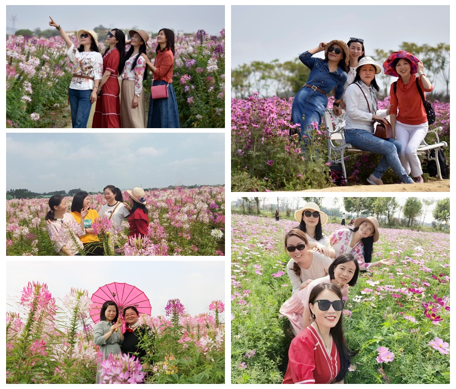 花海拼图.jpg